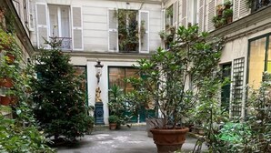 Ein Innenhof mit Blumentöpfen, einer Statue und einem Stuhl.
