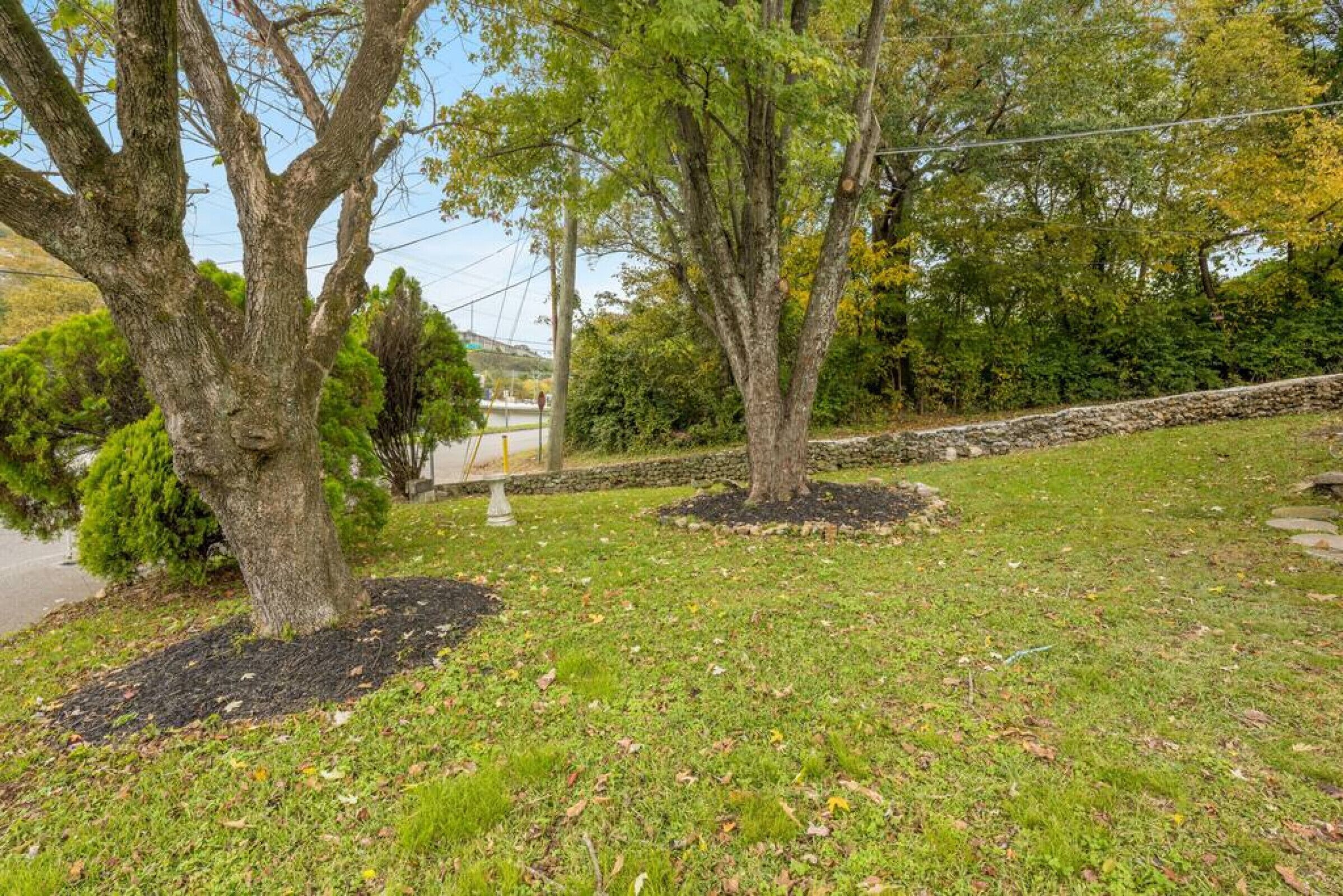 Un espace aménagé avec des arbres et un mur en pierre.