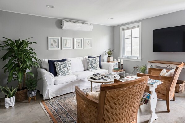 Smart TV, Netflix, books, streaming services