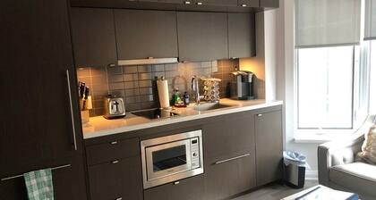 Beautiful apartment , Fully furnished in the hart of Yorkville