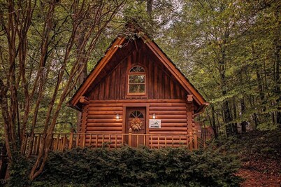 Ivy quaint tiny cabin creekside - Riverside Resort