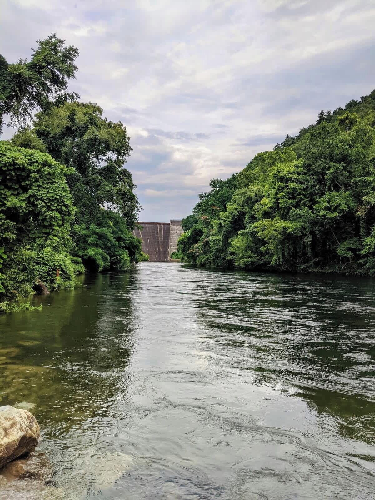 Un río con abundante vegetación a ambos lados, una presa a lo lejos y un cielo despejado.