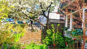 Een tuin met verschillende planten en een boom met witte bloesems.