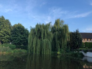 Overnatningsstedets område