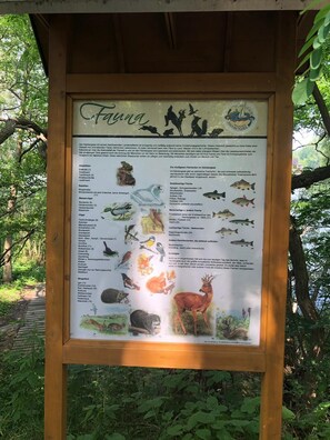 A wildlife information board with illustrations of various animals and fish, surrounded by greenery. - Flat for 7 ✭ Free cleaning every week ✭ TV&WIFI (Elsteraue)