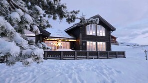 Exterior - Beautiful Mountaincabin at Lifjell (Vestfold og Telemark)