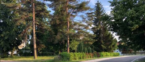 Terrein van de accommodatie