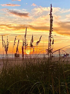 Nära stranden, solstolar och strandhanddukar