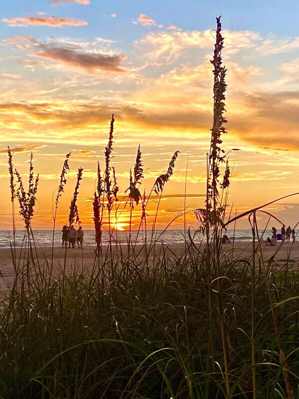 Beach nearby, sun-loungers, beach towels