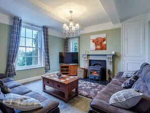 TV, fireplace - 4 bedroom accommodation in Newtown (Newtown)