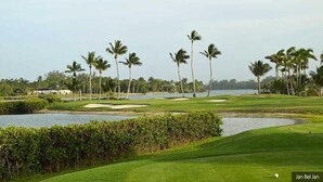Um campo de golfe com um obstáculo de água, palmeiras e um edifício ao longe.