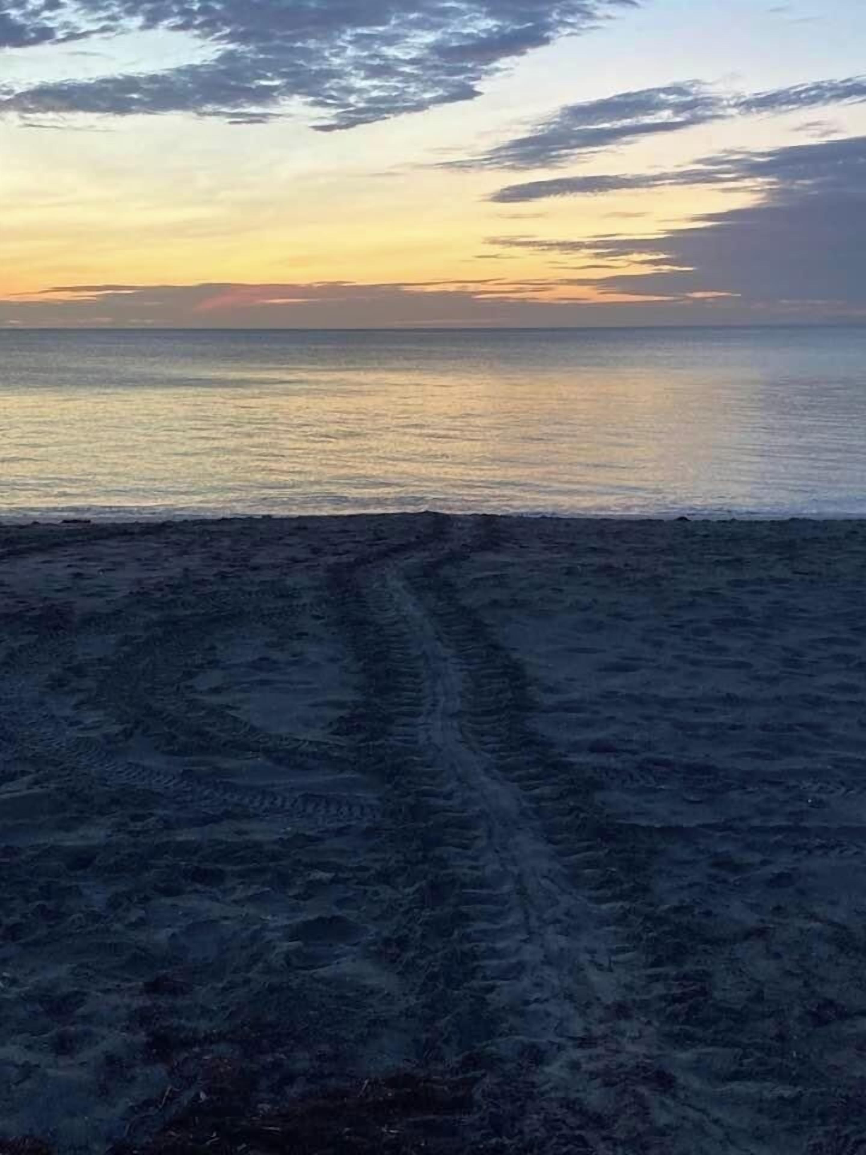 شاطئ