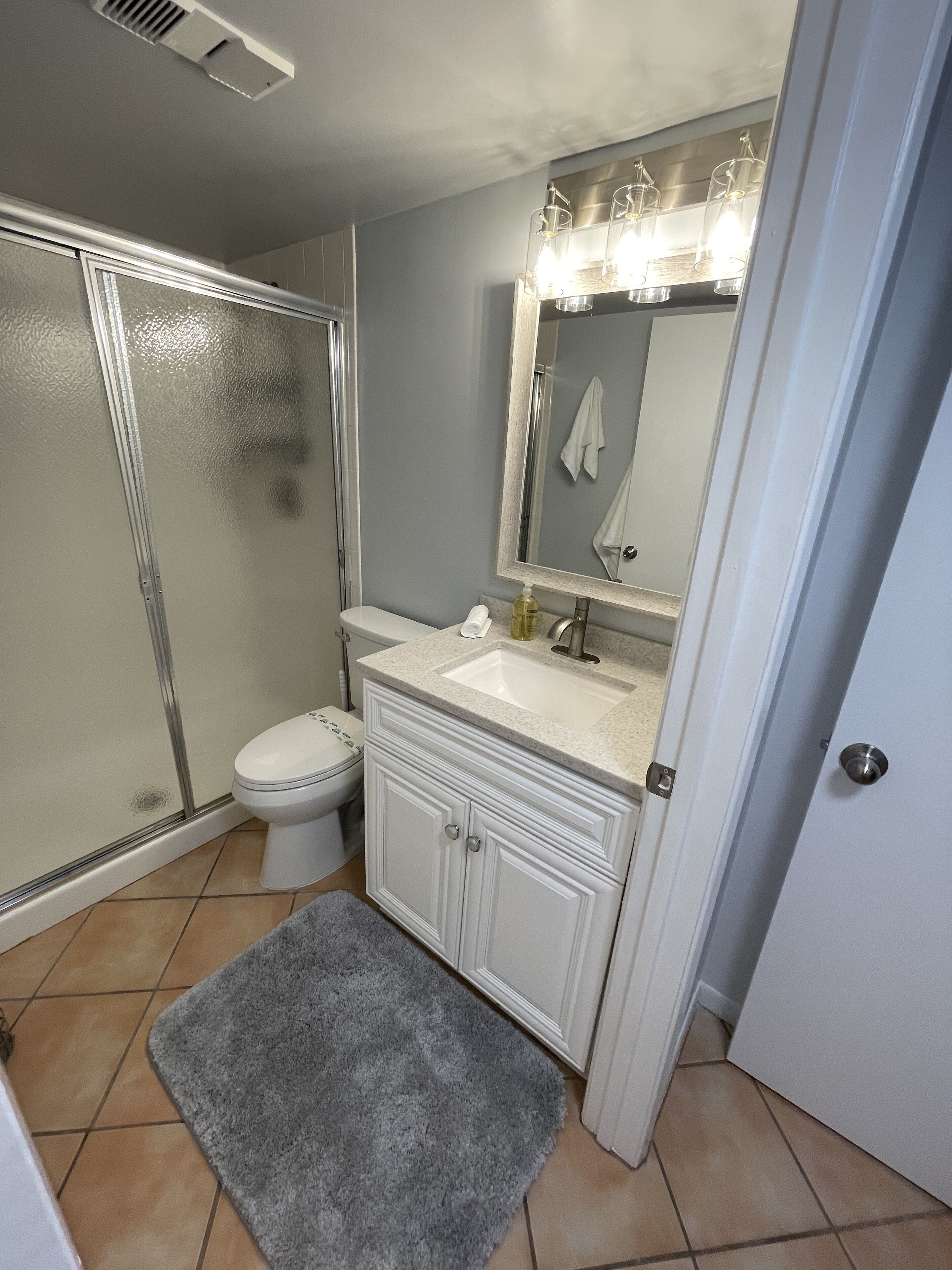 A bathroom with a glass shower enclosure, a white toilet, a sink with a mirror above it, and a grey rug on the floor.
