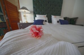 1 soveværelse, pengeskab på værelset, skrivebord, strygejern/strygebræt