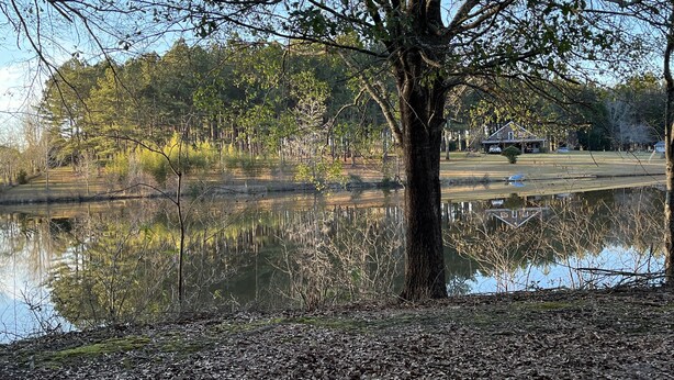 Eine friedliche Seelage mit einem markanten Baum im Vordergrund, ruhigem Wasserspiegel, der die Umgebung widerspiegelt, und einem Haus in der Ferne mit sichtbarer Auffahrt.