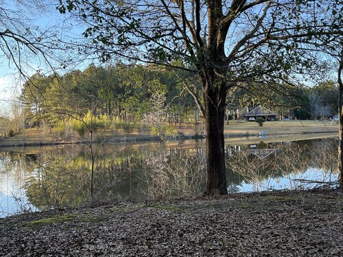 Cabin at Meadow Springs, lakes and walks on 51+acres in Warrenton GA