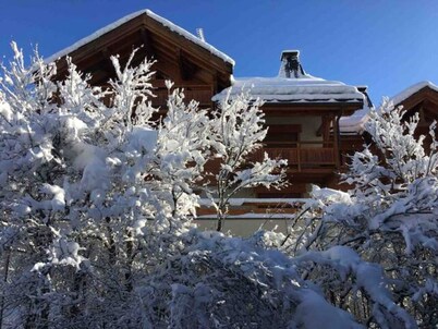 Luxury F3 in chalet at the foot of the slope