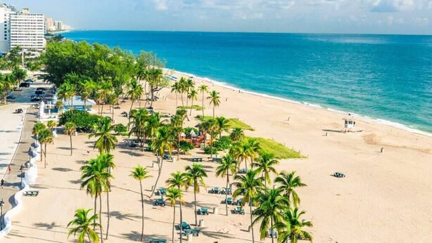 Une plage bordée de palmiers, une piscine et un poste de surveillance pour les sauveteurs.