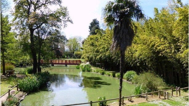 Un parc paisible avec un étang, un pont en bois et une végétation luxuriante.