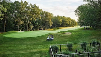 Un campo de golf con un carrito, rodeado de árboles y un área cercada con plantas.