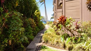 A pathway leading to a building with a tropical garden and a view of the ocean. - Hale Hui Kai 102 on Keawakapu Beach (Kihei)