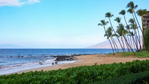Una playa con palmeras y vista al océano.