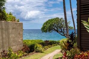 Property grounds - Hale Hui Kai 108  on Keawakapu Beach (Kihei)
