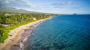 A beach with clear blue water, palm trees, and a distant mountain.