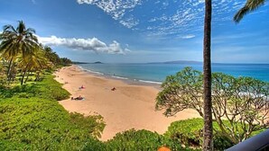 A beach with palm trees and a clear sky.