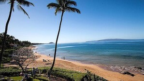 A beach with palm trees, a clear sky, and a view of the ocean.