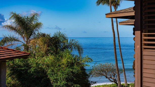 A view of the ocean from a covered outdoor area with palm trees and a wooden structure. - Hale Hui Kai 304 Two bedroom Two bath with AC and Ocean views (Kihei)