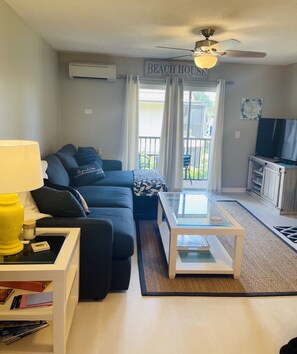 Smart TV, books, computer monitors