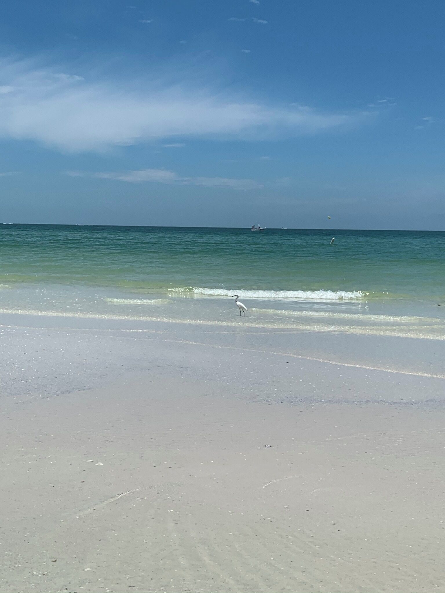 Nær stranden, solsenger og strandhåndklær