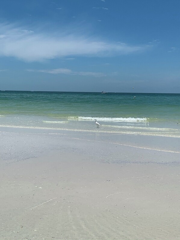 Beach nearby, sun-loungers, beach towels