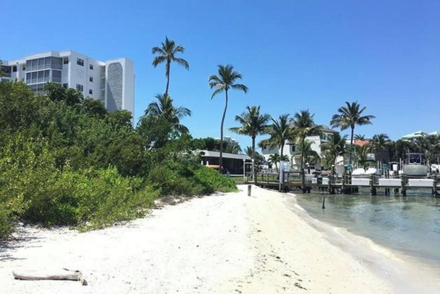Una playa de arena blanca, palmeras y un edificio al fondo.