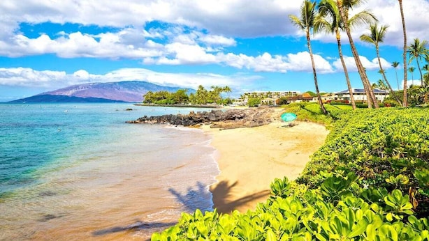 Une plage avec une eau turquoise et limpide, des palmiers et une montagne en arrière-plan.