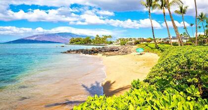 Kihei 1 Bedroom Beach Condo
