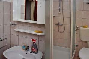 Shower, hair dryer