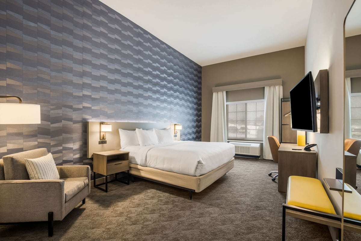 standard room, 1 king bed, accessible, non smoking (pet friendly) | desk, laptop workspace, blackout curtains, iron/ironing board