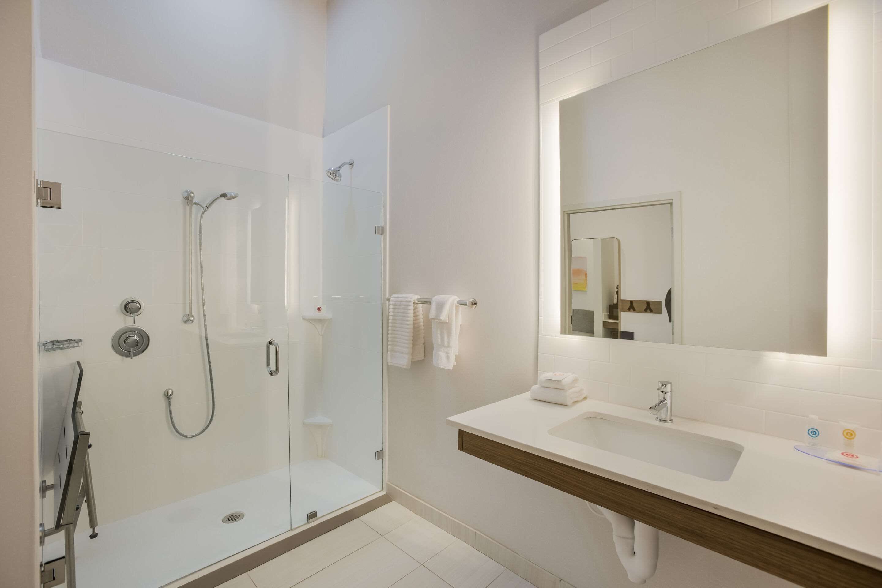 suite, 1 king bed with sofa bed, accessible, non smoking (roll-in shower, pet friendly) | bathroom | free toiletries, hair dryer, towels, soap