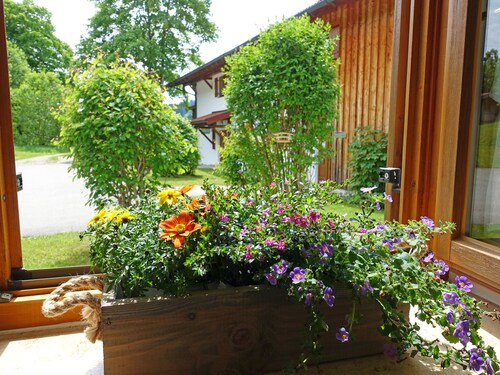 Ferienwohnung Murmeltier 49 qm, separates Schlafzimmer und Süd-West-Terrasse