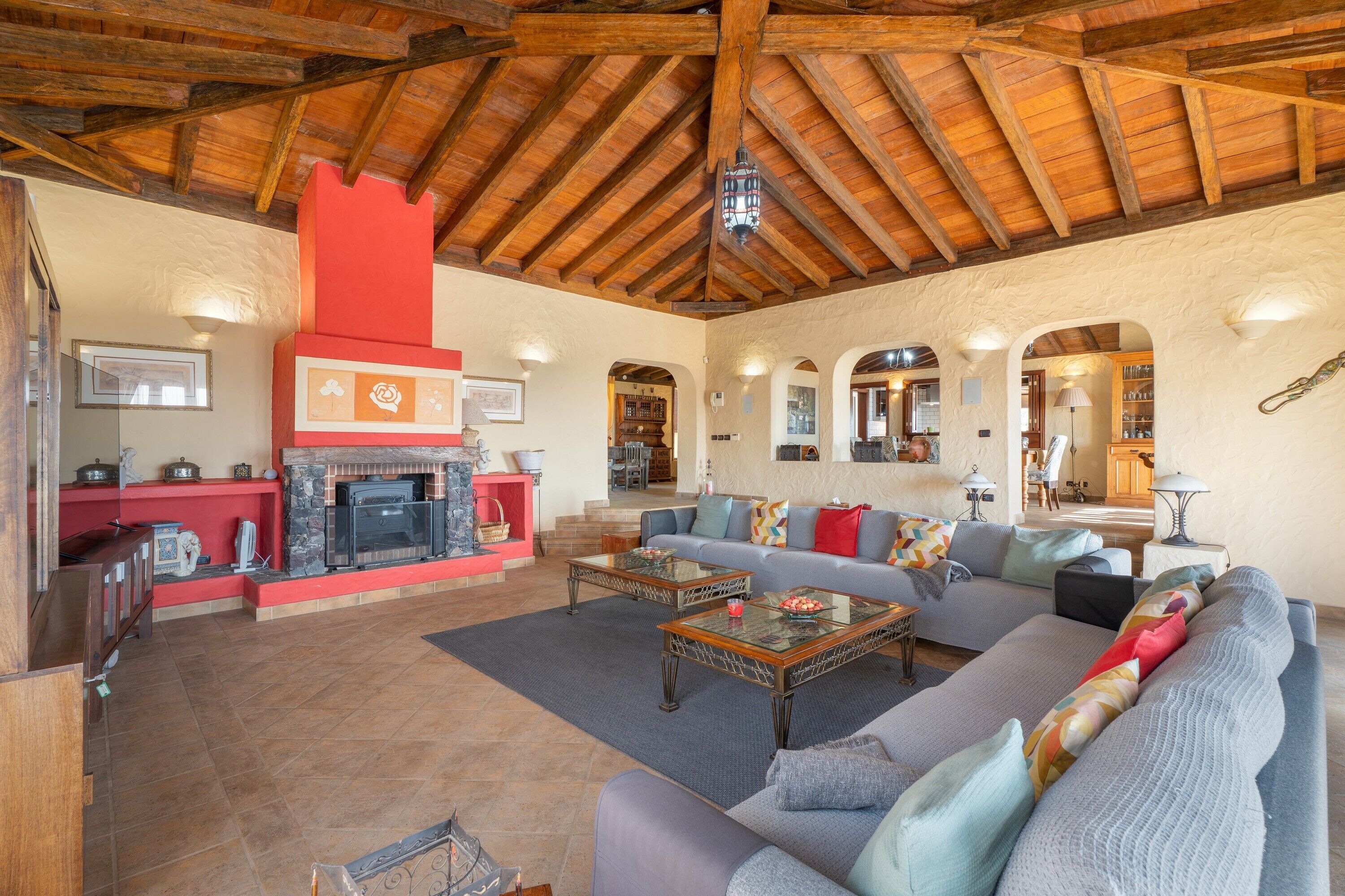 TV, fireplace, video games, DVD player