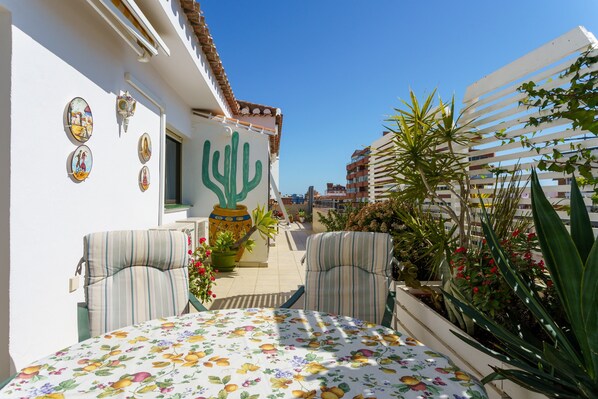 Une terrasse avec une table et des chaises, un cactus et des plantes en pot.