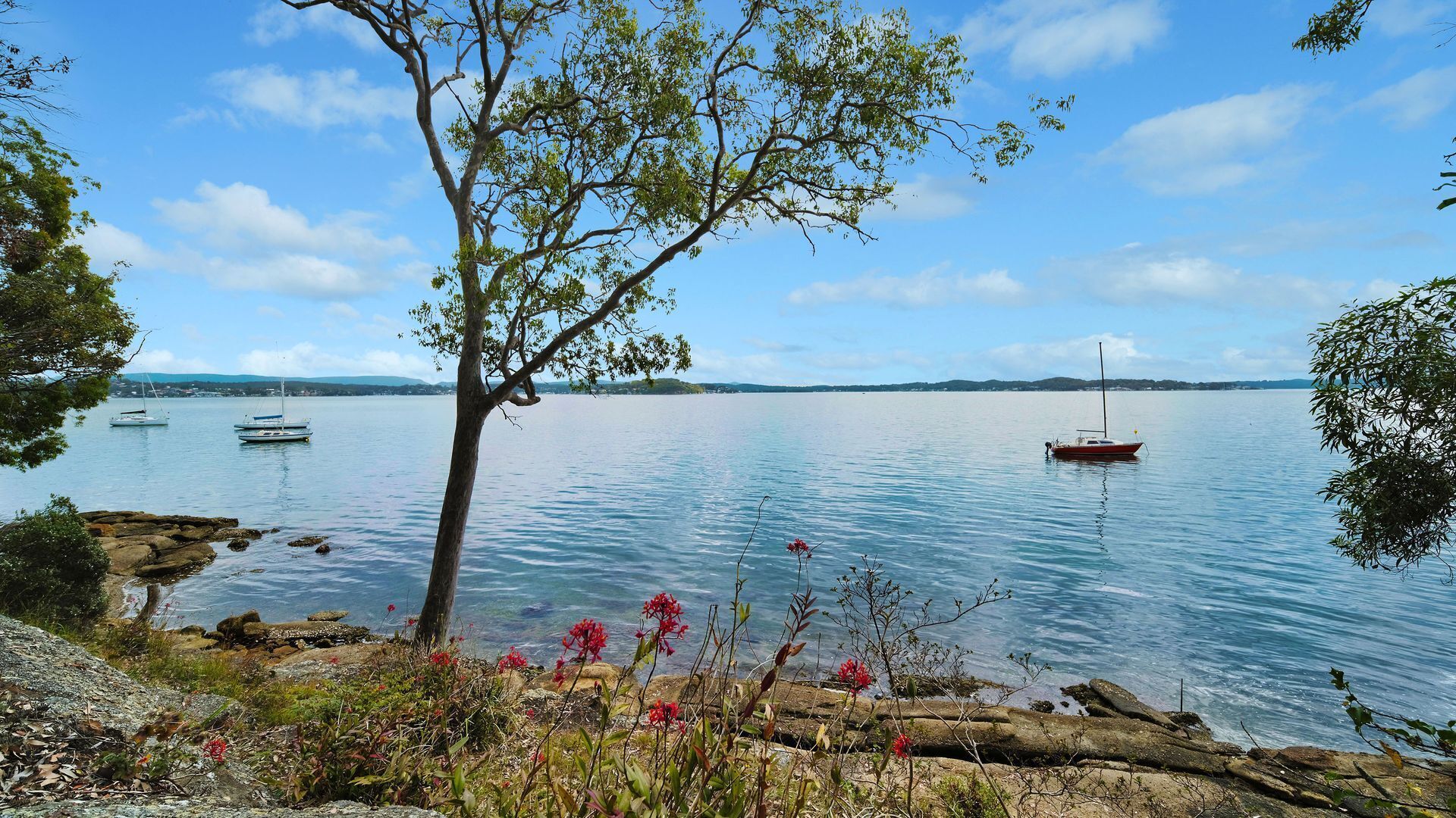 Waters edge view