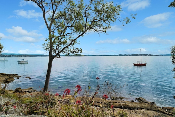 Waters edge view