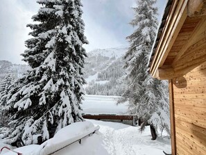 Property grounds - Rustic chalet for 12, 5 rooms, Wifi in Tignes (Tignes-Les Brévières)