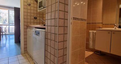 Studio cosy proche pistes, 4 personnes, parking, wifi, animaux permis