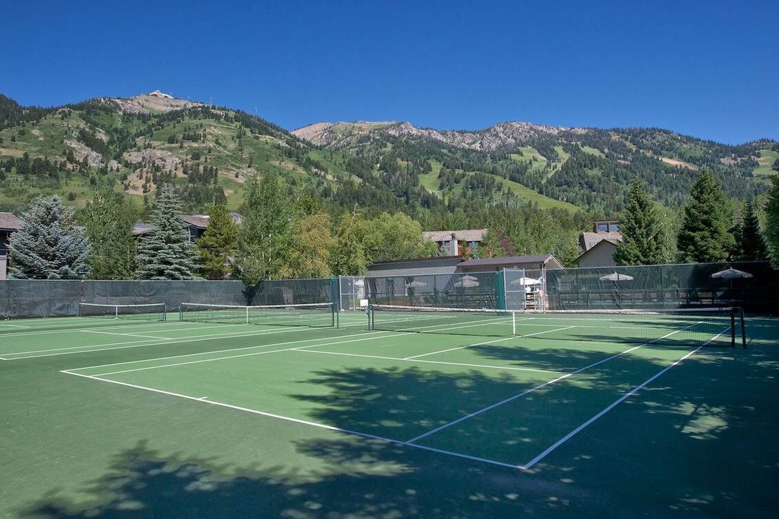 A tennis court with a net, surrounded by trees and mountains in the background.