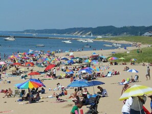 Chaises longues, serviettes de plage