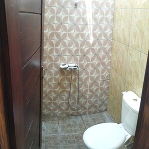 Shower, towels, toilet paper